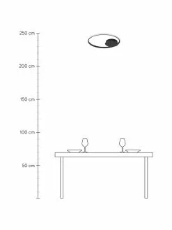 Dimmbare LED-Deckenleuchte Fuline in Schwarz, Ø 50 x H 5 cmNur noch 1 Artikel verfügbar -Leuchten Verkaufsladen Dimmbare LED Deckenleuchte Fuline in Schwarz 2