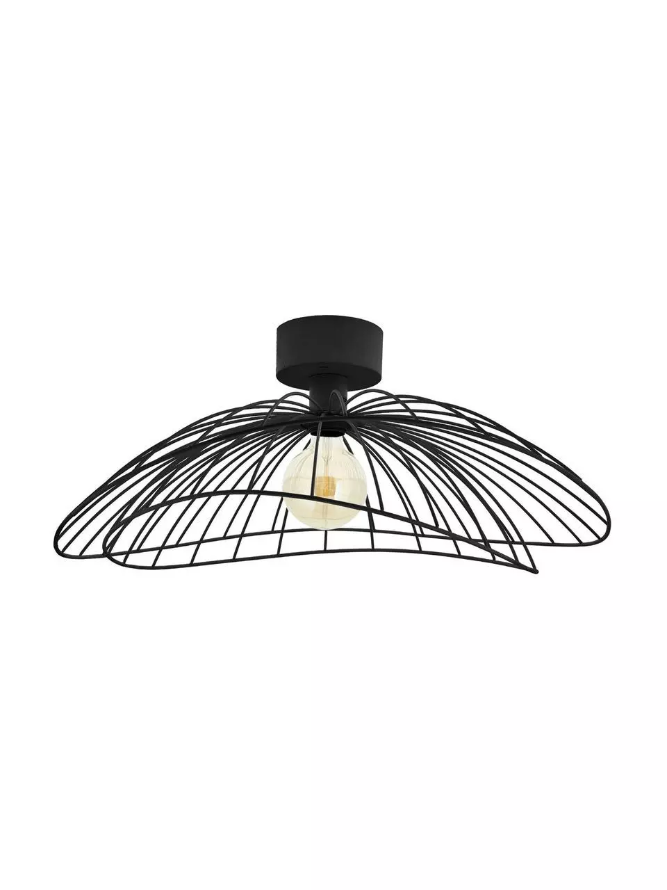Globen Lighting Große Decken- und Wandleuchte Ray, Ø 60 x H 20 cm 3 Globen Lighting Große Decken- und Wandleuchte Ray, Ø 60 x H 20 cm