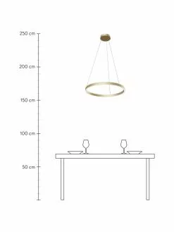 Große LED-Pendelleuchte Rim in Gold, Ø 60 x H 40 cm -Leuchten Verkaufsladen Grosse LED Pendelleuchte Rim in Gold 2
