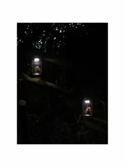 Solar Außenlaterne Bianca, Ø 10 x H 18 cm 11 Solar Außenlaterne Bianca, Ø 10 x H 18 cm -Leuchten Verkaufsladen Solar Aussenlaterne Bianca 3